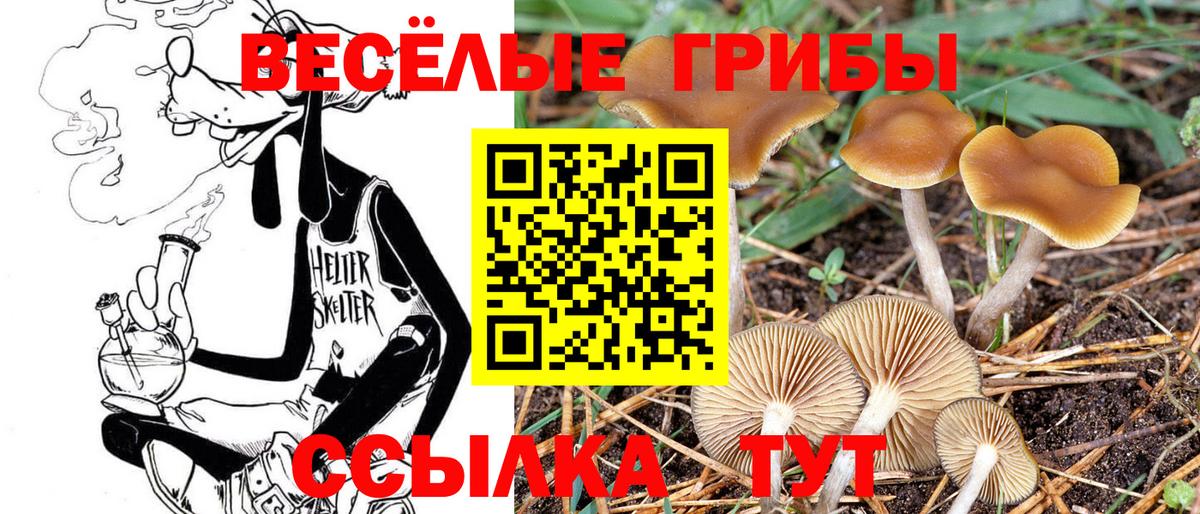 Псилоцибиновые грибы MAGIC MUSHROOMS Малгобек