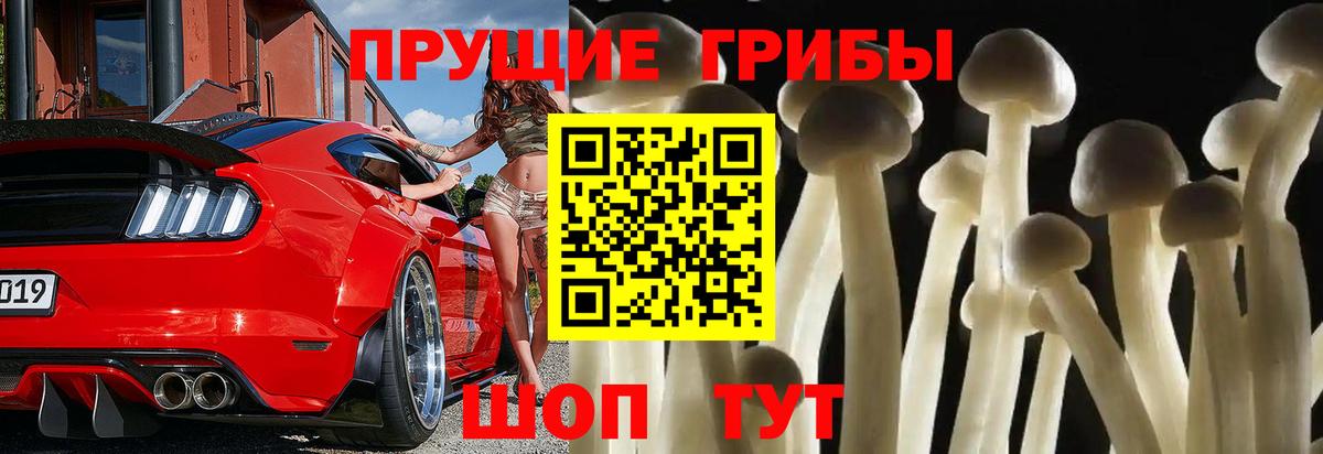 Псилоцибиновые грибы мухоморы  Вход с VPN  Малгобек 